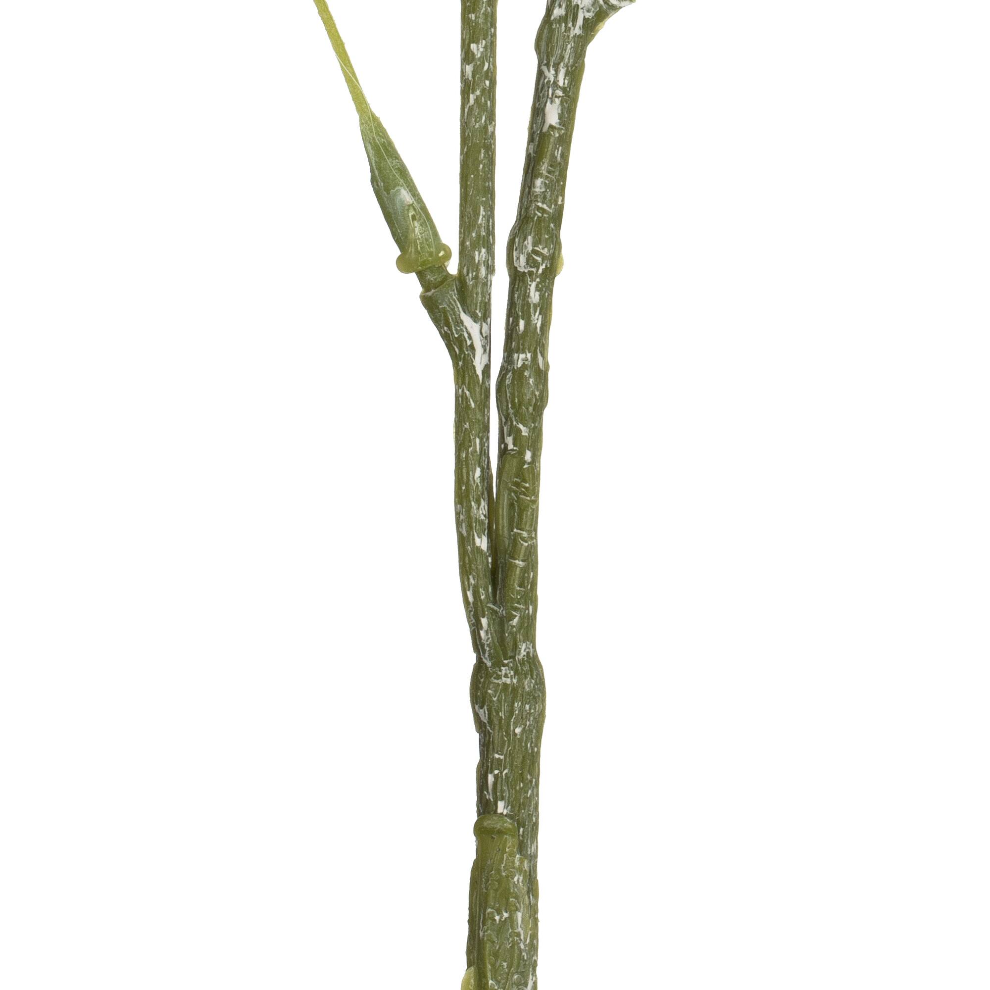 Green Pom Pom Stem, 3ct.